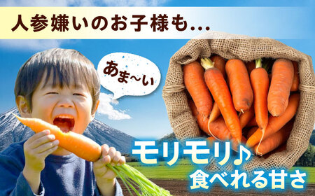 人参 10kg 人参 にんじん 野菜 やさい 旬の野菜 旬 季節 新鮮 採れたて 広島県福山市/しもみん農場[BAGT004]
