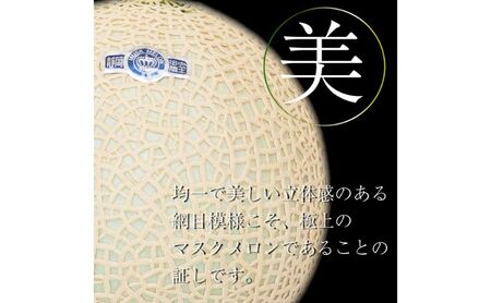 【奇数月6ヶ月定期便】クラウンメロン【並（白等級）】小玉（1.1kg前後）6玉入り