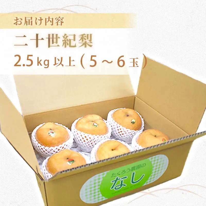 美祢市秋芳町産 二十世紀梨 （5~6玉）【先行予約：9月より発送予定】