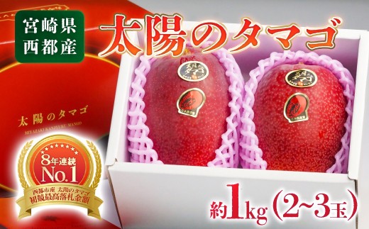 最高級ブランド『太陽のタマゴ』1㎏程度2～3玉【糖度15度以上】宮崎県西都市産完熟マンゴーＪＡ西都【先行予約】2027年発送 宮崎マンゴー 果物 フルーツ 甘い ＜3-18＞ 2-2a