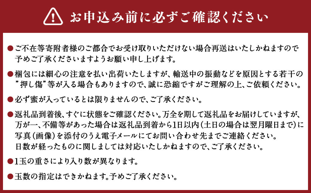 りんご（サンふじ・秀） 約2kg 5玉～8玉 リンゴ 林檎 果物 【2025年11月下旬～12月上旬発送予定】