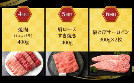 【定期便6ヶ月】 A5ランク肉 飛騨牛 定期便 約2.6kg(360g以上×6ヶ月) 牛肉 ( 焼肉 すき焼き しゃぶしゃぶ ステーキ 肩ロース ヒレ サーロイン もも バラ ) | 食べ比べ A5 