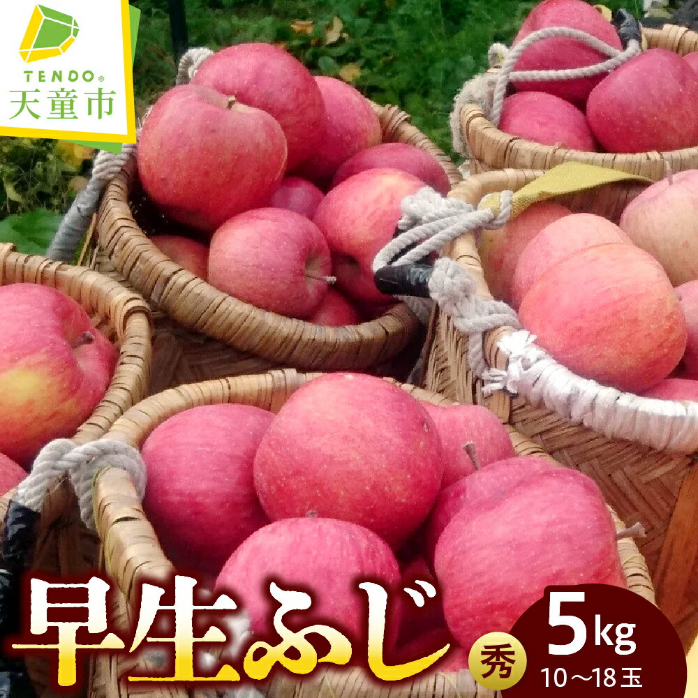【ふるさと納税】りんご ( 早生ふじ ) 約5kg 令和8年産 先行予約 2026年 林檎 果物 くだもの フルーツ 山形 お取り寄せ 産地直送 送料無料【 山形県 天童市 】