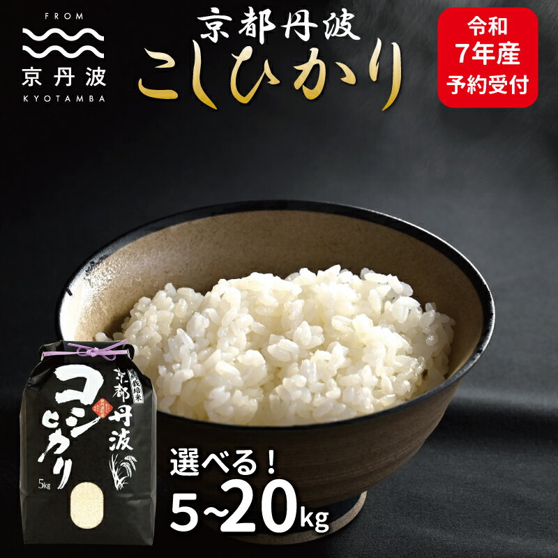 【ふるさと納税】 《先行予約》 京丹波こしひかり 5kg 10kg 15kg 20kg 選べる 数量 令和7年産 京都 精米 コシヒカリ ※北海道・沖縄・その他離島は配送不可