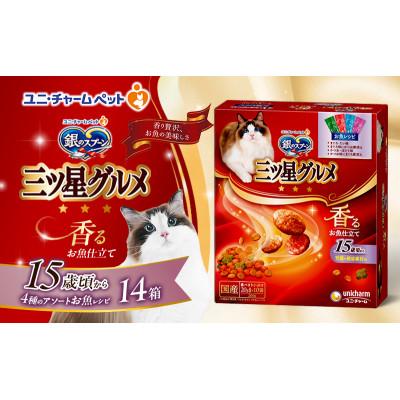 ふるさと納税 伊丹市 銀のスプーン三ツ星グルメ香るお魚仕立て15歳頃から4種のアソート お魚レシピ 猫[54030333]