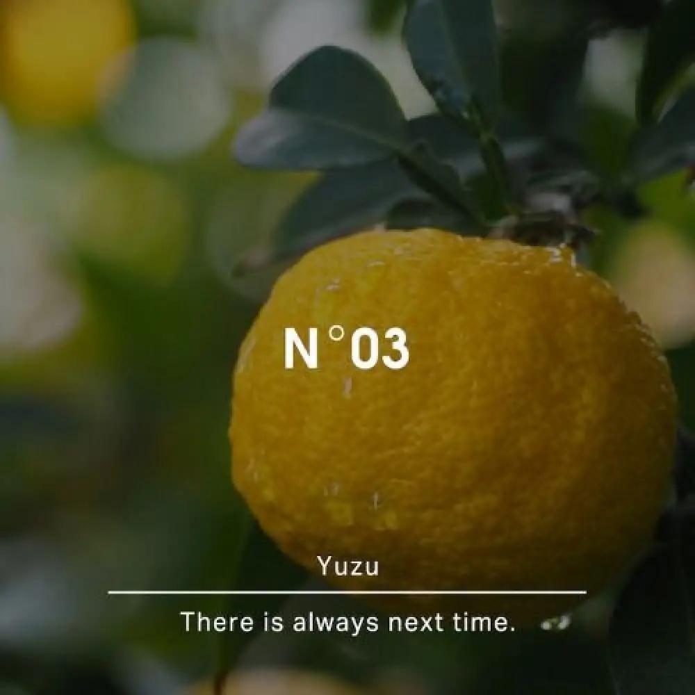 ヒーリングバスソルトNo.03　ユズ　450g バスソルト
