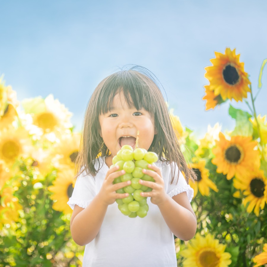 恋するシャインマスカット 1kg