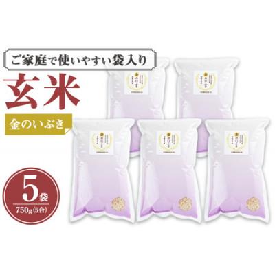 ふるさと納税 大和町 金のいぶき 自宅用 5合(750g)×5袋
