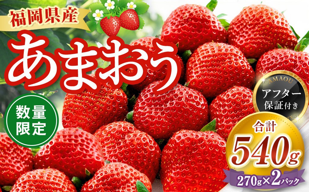 
                  【数量限定】 福岡県産 あまおう 計540g 270g × 2パック 【2027年2月上旬～4月上旬発送予定】 苺 イチゴ いちご 果物 フルーツ 果実 国産 アフター保証 アフター対応 福岡県 遠賀町 冷蔵
                