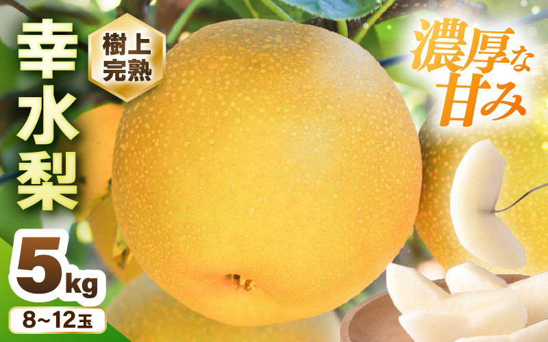 
            【先行予約】 幸水梨 1箱 5kg入り (8～12玉) 樹上完熟！濃厚な甘さに手が止まらない！甘～いゆみたかの幸水梨 【2025年8月中旬以降順次発送予定】【梨 和梨 赤梨 なし フルーツ 甘い みずみずしい 果実 果物 新鮮 旬の果物 産地直送】 [B-16201]
          