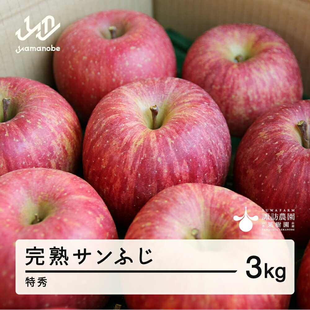 【ふるさと納税】 《先行予約》2025年 山形県産 完熟 サンふじ りんご 特秀品 3kg 7〜12個 2025年12月上旬から順次発送 リンゴ フルーツ F20A-902