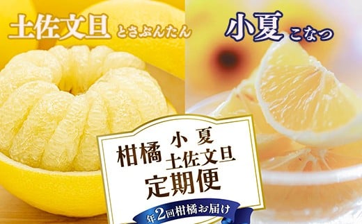 
            【 2回 定期便 】フルーツ 定期便 土佐文旦 小夏 文旦 こなつ 果物 定期便 果物定期便 旬 季節 期間限定 数量限定 フルーツ ギフト 柑橘 人気 おすすめ 産地直送 旬の果物セット 厳選 家庭用 訳あり わけあり 贈り物 お祝い 季節の味覚 お取り寄せフルーツ 食べ比べ 果物定期便 柑橘定期便 人気定期便 おすすめ定期便 安芸市 高知県
          