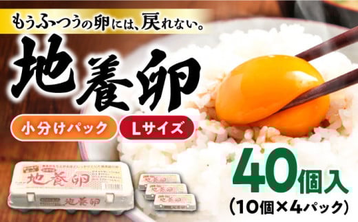 卵 最高級 地養 卵 Lサイズ 40個 長崎県産 西海市 たまご 卵 玉子 赤玉 鶏卵 卵かけご飯 卵焼き たまご ＜垣山養鶏園＞ [CBB001]