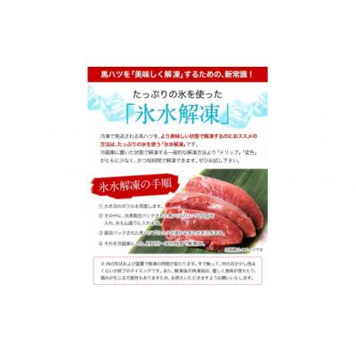 ふるさと納税 氷川町 馬ハツ刺し ブロック 50g×6ブロック 300g 馬ハツ(心臓) |  | 03