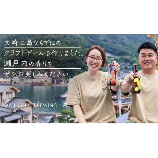 クラフトビール Session IPA Lemon 6本 セット