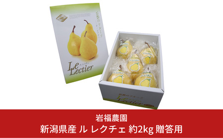 先行予約 ル レクチェ 贈答用 2kg [2025年11月下旬発送] 新潟県産 洋梨 ル レクチエ ル・レクチェ [岩福農園] 【010P025】