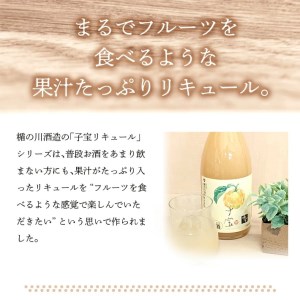 SA1447　酒田の酒屋厳選　子宝リキュール 番外編ゆず　1800ml×1本