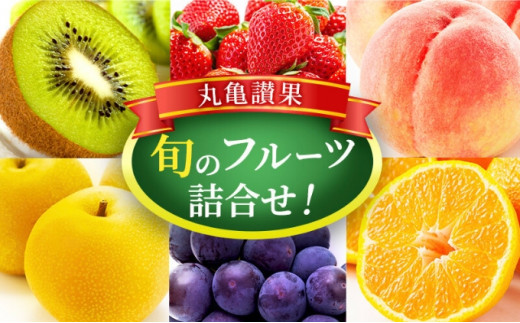 フルーツ 詰め合わせ セット 丸亀讃果(1回便) 今が旬の厳選果実 旬のフルーツ 食べ比べ いちご みかん デコポン びわ 桃 梨 ぶどう 柿 キウイ 柑橘 柑橘類 果物 デザート おやつ 旬 産地直送 旬の果物 お取り寄せ 取り寄せ フルーツギフト 人気果物 人気フルーツ  送料無料 冷蔵 冷蔵配送 香川