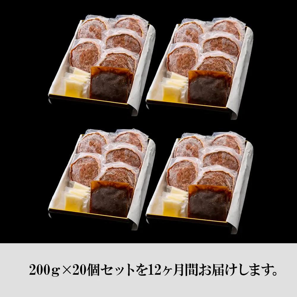 定期便12カ月 お楽しみ 白老牛 Ｗチーズ ハンバーグ セット 20個 BY096