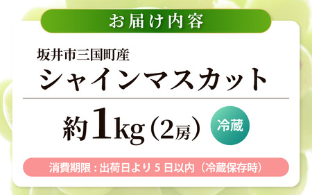 シャインマスカット 2房 (約1kg) 2027年8月中旬以降発送 マスカット ブドウ ぶどう [A-19006]