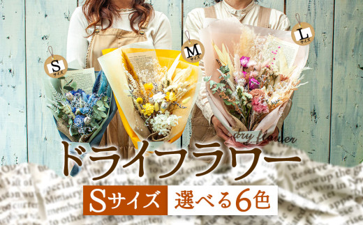 好きな色で選べる！阿蘇のドライフラワー（Sサイズ／全6色）【子】Sサイズ：白系 高原 お取り寄せ ギフト 贈り物 お祝い お返し おうちじかん イベント 贈答用 サプライズ プロポーズ 感謝 可愛い 綺麗 素敵 熊本県 阿蘇市