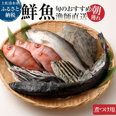 ふるさと納税 土佐清水市 旬の朝獲れ鮮魚(煮つけ用)漁師おすすめセット【以布利定置網　漁師直送】【S00820】