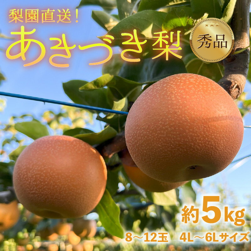 【ふるさと納税】【先行予約】上野梨園のあきづき梨 5kg箱入り（8～12玉入） / 梨園直送【上野の梨】 / 期間限定 果物 フルーツ 農家直送 シャキシャキ もぎたて 旬 お取り寄せ ※2025年9月下旬より順次発送