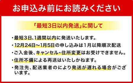 オリオンビール オリオン ザ・ダーク 350ml×24缶 (6缶パック×4)  BCDD029 アルコール