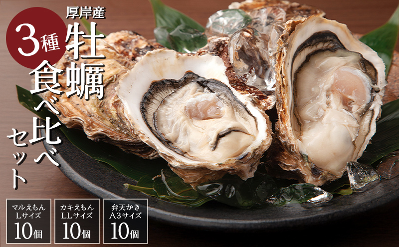 牡蠣 生食 ブランド牡蠣 食べ比べ 3種×各10個 (30個入) 北海道 厚岸産「厚岸オイスター★オールスターズ」【マルユウ海楽】[ 生牡蠣 貝付き 貝 海鮮 カキ マルえもん カキえもん 弁天かき ]