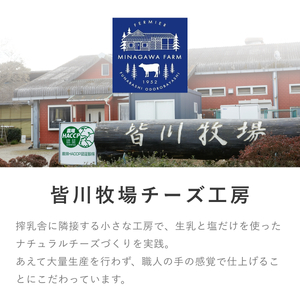 チーズ 皆川牧場 詰め合わせ 3種 セット 食べ比べ 人気 話題 冷蔵 モッツァレラチーズ カチョッタ スカモルツァ ナチュラルチーズ 熟成 手作り 生乳 牧場直送 ご当地 ギフト 贈答 ミルク おつ