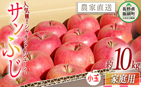 りんご サンふじ 家庭用 ( 小玉 ) 10kg 松橋りんご園 2027年1月上旬頃から2027年3月上旬頃まで順次発送予定 令和8年度収穫分 フルーツ リンゴ 信州 長野県 飯綱町 [0630]
