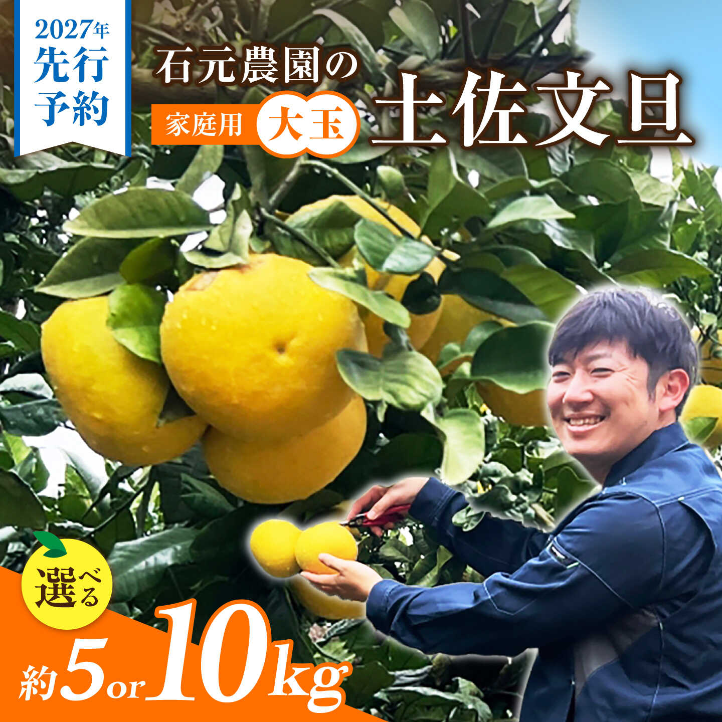 【ふるさと納税】【先行予約】石元農園の土佐文旦 家庭用 大玉 約5kg～10kg〈選べる内容量〉〈2027年2月～発送〉 5キロ 10キロ 3Lサイズ 4Lサイズ 土佐文旦 高知 柑橘 フルーツ ぶんたん 果物 甘い 旬 高知県土佐市/石元農園[BQBH004]