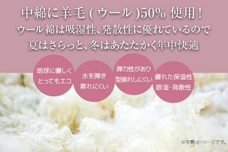しっかり羊毛混！オールシーズンあったか掛け布団 ブルーB