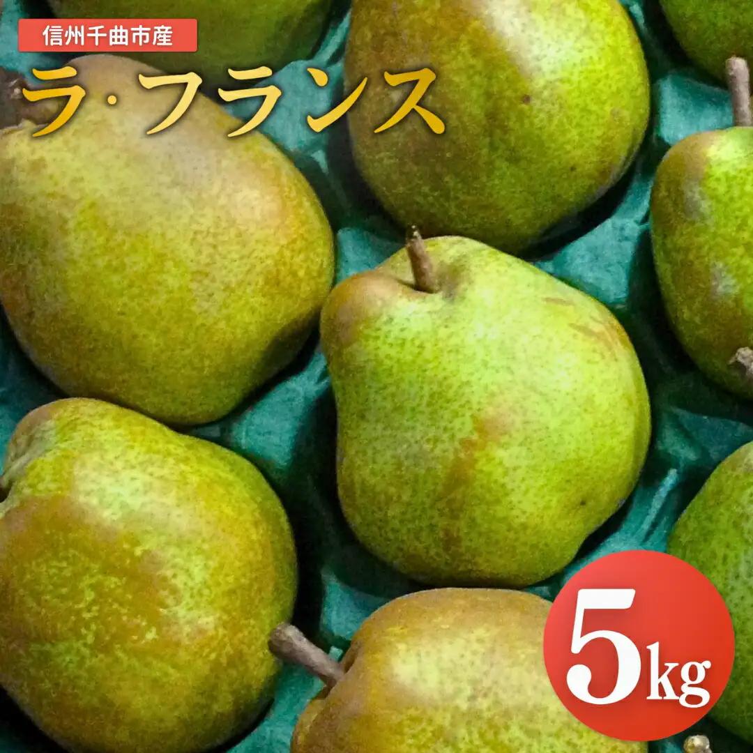 【2026年先行予約】洋梨 ラ・フランス 約5kg|ラフランス