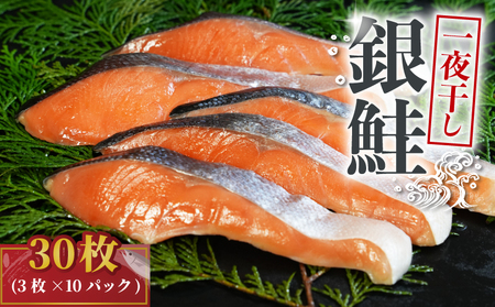 銀鮭 一夜干し 30枚 （10パック×3枚）  鮭 鮭 鮭 鮭 鮭 鮭 鮭