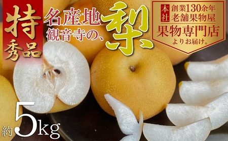 梨 豊水・南水 特秀品 香川県産 梨【約5kg】【先行予約】