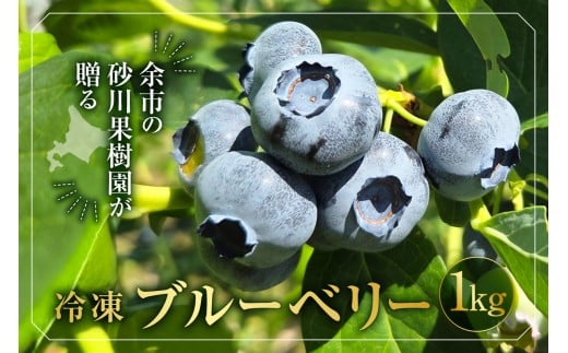 余市の砂川果樹園が贈る 冷凍ブルーベリー1Kg