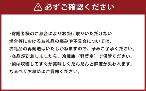 【2023年8月下旬発送開始】熊本県産 あきづき梨 約5kg 10～14玉入り 梨 なし ナシ フルーツ 果物