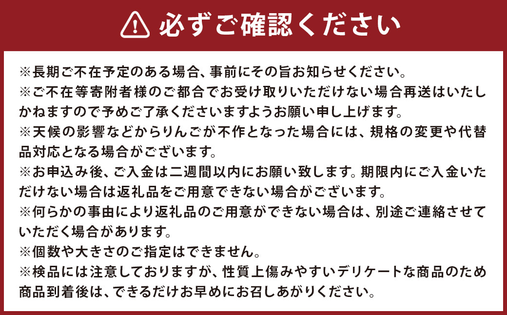 訳あり りんご（はるか） 約10kg