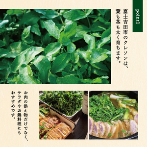 富士吉田市のクレソンペーストセット 野菜