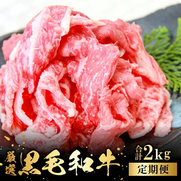 【ふるさと納税】 【定期便】 奥出雲和牛 切落し 400g 5回定期 合計2.0kg 毎月お届け 国産 島根県産 飯南町産 肉 牛肉 和牛 黒毛和牛 ブランド和牛 切り落とし肉 カレー 肉じゃが 牛丼 野菜炒め 便利 霜降り さし サシ 上品 贅沢 冷蔵 チルド