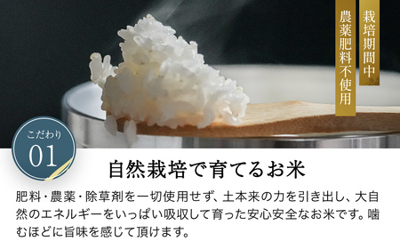 令和8年産先行予約 やくの自然栽培米 イセヒカリ 7分づき 5kg ゆたか（ゆたか自然農園）