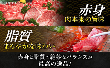 【全3回定期便】葉山牛肩ロースすき焼き用 250g×4パック【株式会社羽根】[AKAG039]