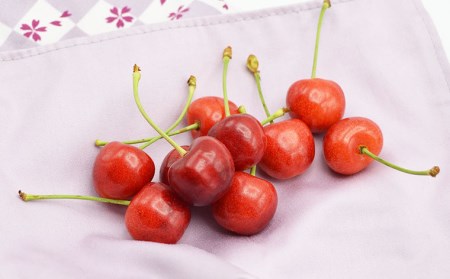 山形のさくらんぼ 紅てまり 約800g Lサイズ以上(200g×4) 【令和6年産先行予約】FU22-058