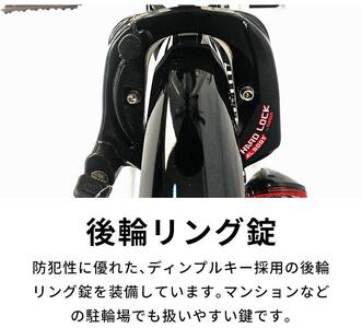 PELTECH（ペルテック）ノーパンク 折り畳み電動アシスト自転車 20インチ 折り畳み外装6段変速（TDN-206LN）【簡易組立必要】【ブラック】