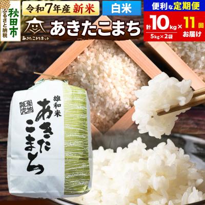 ふるさと納税 秋田市 新米受付《定期便11ヶ月》あきたこまち 清流米 10kg【白米】 |15_akn-dd1011hs
