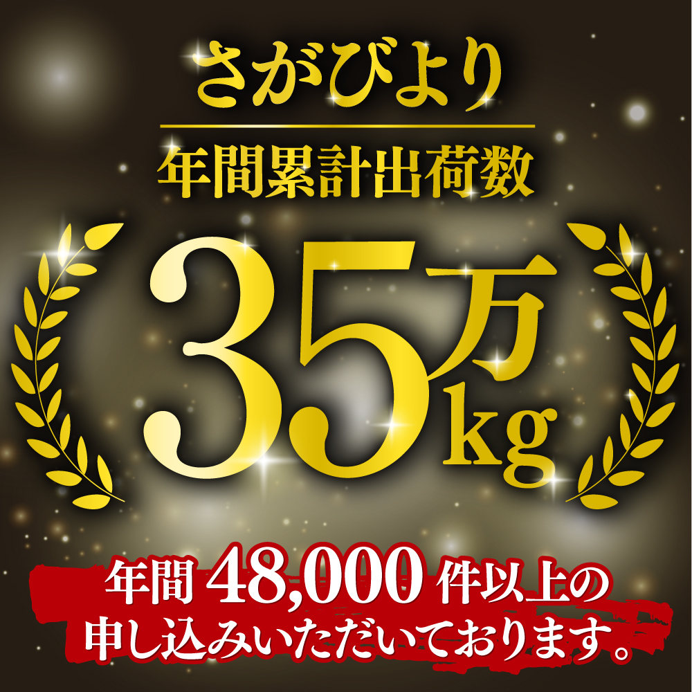 【新米 令和7年産】【全3回定期便】さがびより 計30kg（5kg✕2袋）3回定期便 吉野ヶ里町/増田米穀 [FBM006]