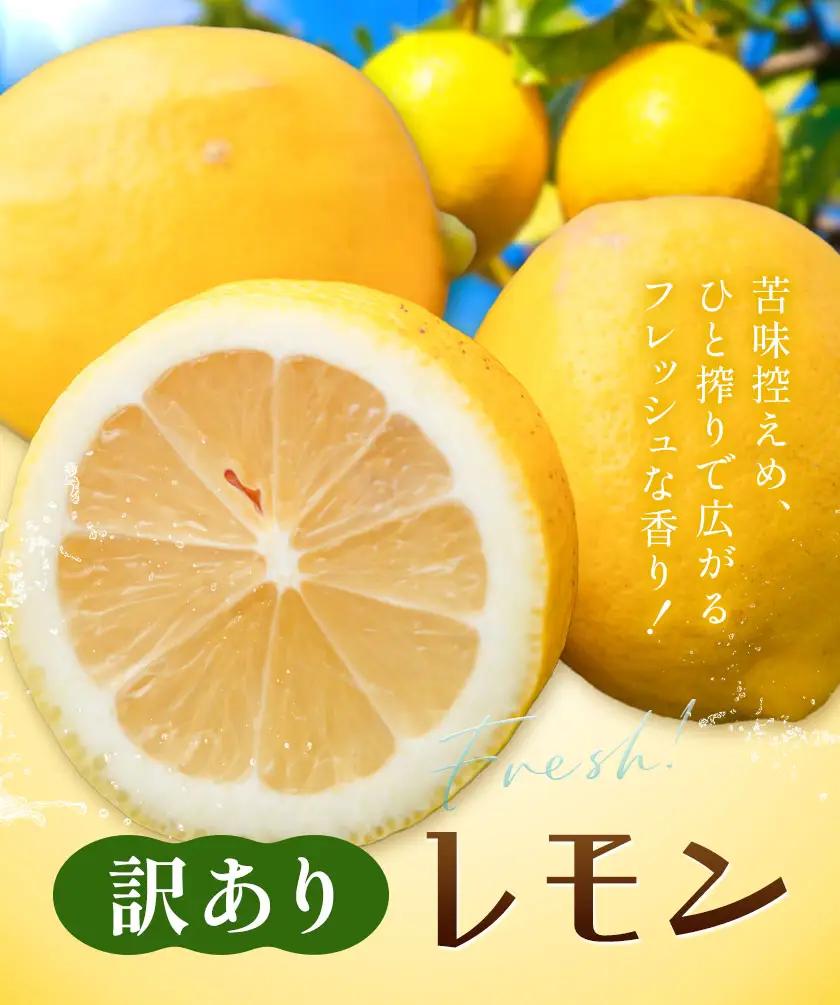 レモン 訳あり 3kg 株式会社農業福祉研究機構