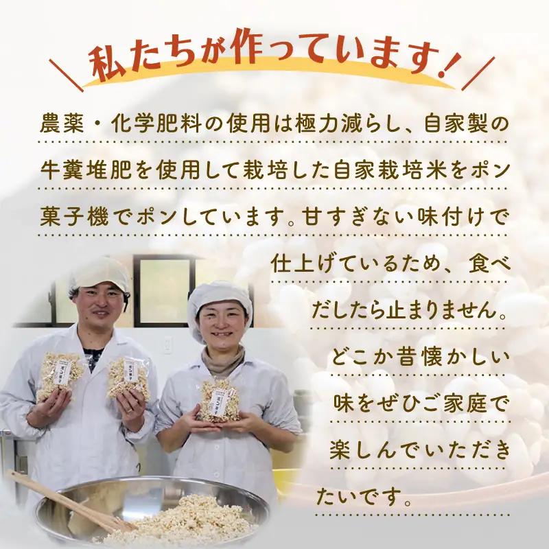 駄菓子 ポン菓子2種10袋セット 駄菓子