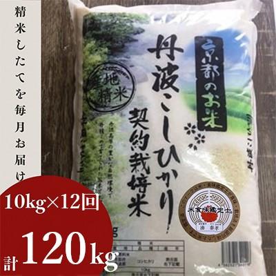ふるさと納税 亀岡市 【毎月定期便】京都丹波産 お米 コシヒカリ 精米 10kg 米定期便 12ヶ月 全12回